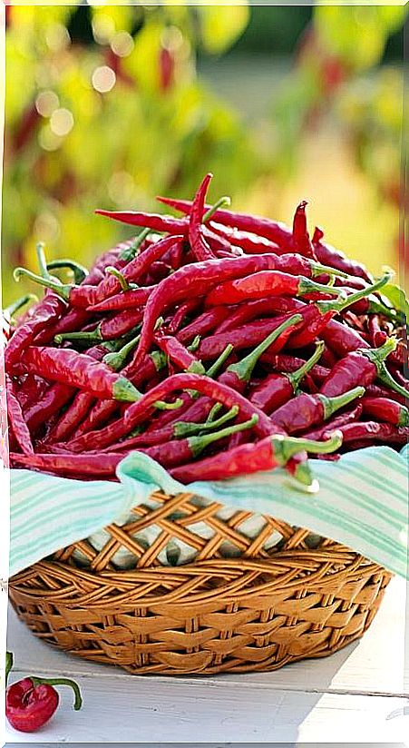 Basket with chili peppers